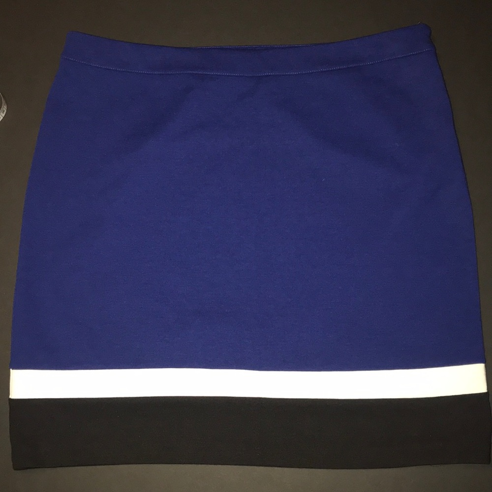 Rafaela color block poly spandex skirt.